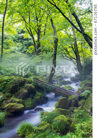 大山宮澤山間溪流的晨霧 大山宮澤山間溪流的晨霧 67116798