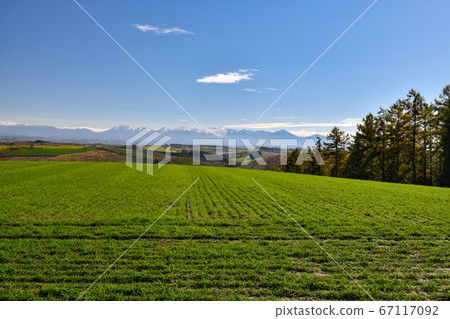 十勝達山 十勝達山 67117092