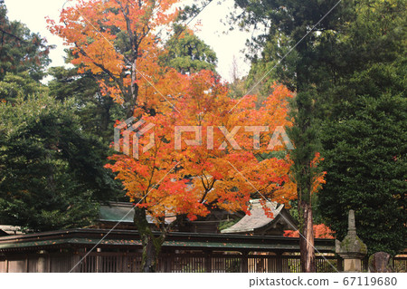 滋賀市禦寺寺 67119680