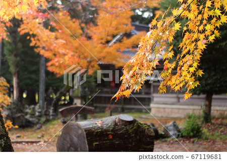 Gyojiji Temple in Shiga Gyojiji Temple in Shiga 67119681