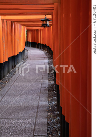 Fushimi Inari Shrine Senbon Torii The Main Stock Photo