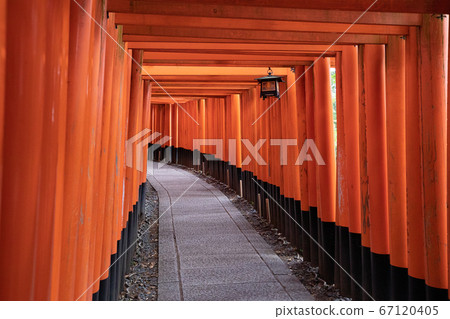 Fushimi Inari Shrine Senbon Torii The Main Stock Photo