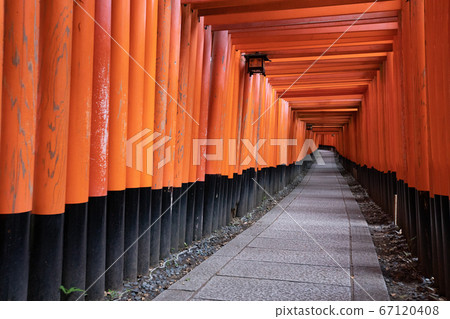 Fushimi Inari Shrine Senbon Torii The Main Stock Photo