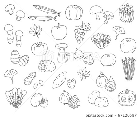 A set of hand-drawn illustrations of the taste of autumn / Autumn of appetite / Simple / Fashionable 67120587