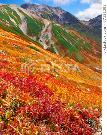 Nishiki autumn weather Tateyama Murodo vivid autumn colors 67121398
