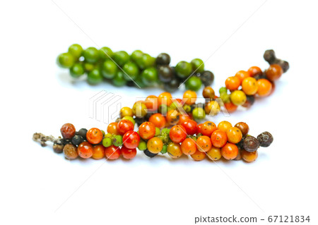 mix multicolor raw fresh and dry pepper isolated 67121834