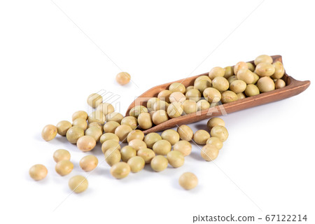 Organic non-base-modified soy bean soybean isolated on white soy bean soybean isolated 67122214