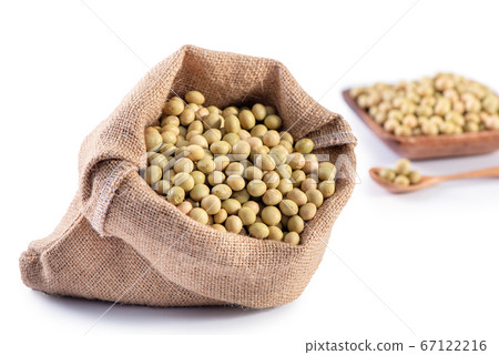 有機 非基改 黃豆 大豆 白底 去背 soy bean soybean isolated 豆 有機 非基改 黃豆 大豆 白底 去背 soy bean soybean isolated 豆 67122216