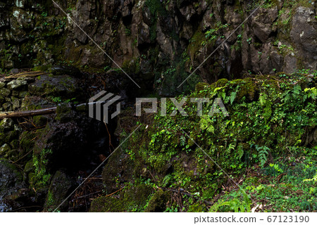 Shimane prefecture, Izumo city, Sada town, Kiko mother hall (April 2020) 67123190