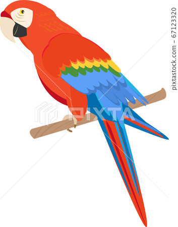Parrot Parrot 67123320