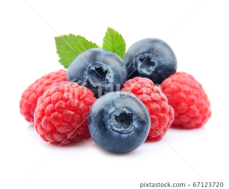 sweet berry macro 67123720