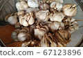 garlic  67123896