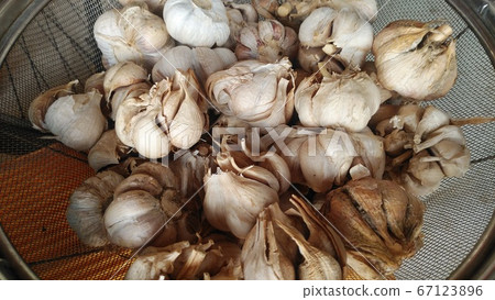 garlic garlic 67123896