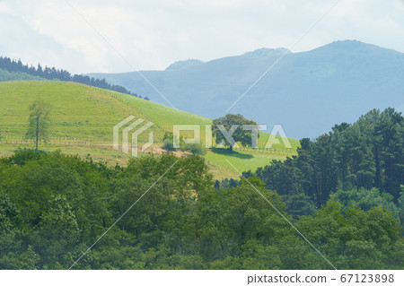 Green landscape in the Basque Country in summer sunny day. Freshness and calmness in the nature. Concepts of the beauty of nature and healthy lifestyles. Ecological trip theme. Green landscape in the Basque Country in summer sunny day. Freshness and calmness in the nature. Concepts of the beauty of nature and healthy lifestyles. Ecological trip theme. 67123898