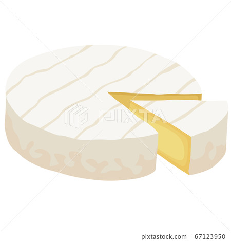 Cut camembert 67123950