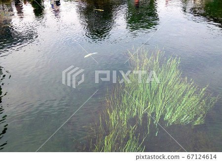 Oshino Hakkai spring well Oshino Hakkai spring well 67124614