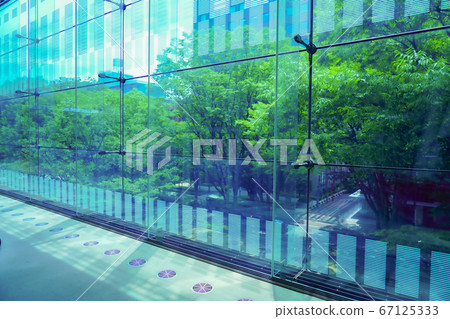 Urban landscape of a glass building surrounded by green trees 67125333