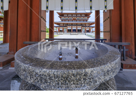Lotus flower blooming at World Heritage Yakushiji Temple after the restoration of the east tower 67127765