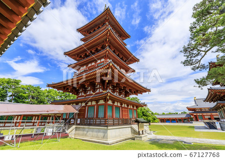 Lotus flower blooming at World Heritage Yakushiji Temple after the restoration of the east tower 67127768