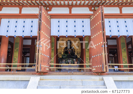 Lotus flower blooming at World Heritage Yakushiji Temple after the restoration of the east tower 67127773