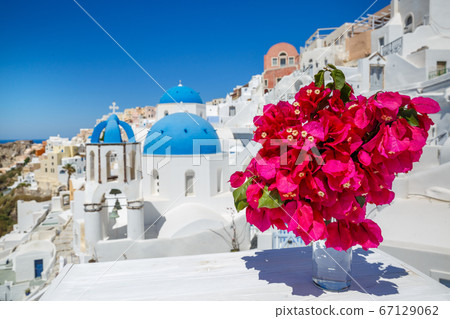 Flowers on a white table of the island of Flowers on a white table of the island of 67129062