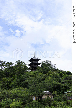 雨季的產經（秘密盛開的繡球花很美） 67129756