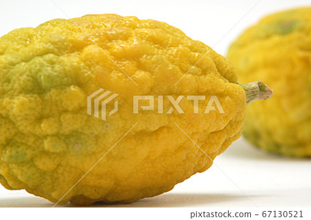 The etrog - citron 67130521