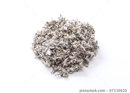 Dried wormwood Japanese herbs Healthy beauty ingredients Dried wormwood Japanese herbs Healthy beauty ingredients 67130810