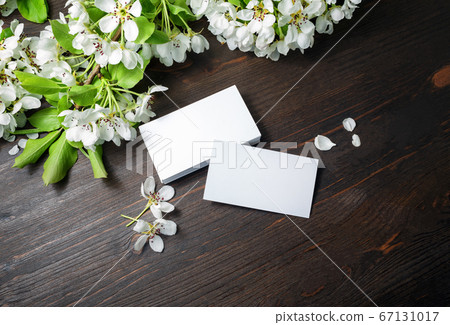 Photo of blank business cards Photo of blank business cards 67131017