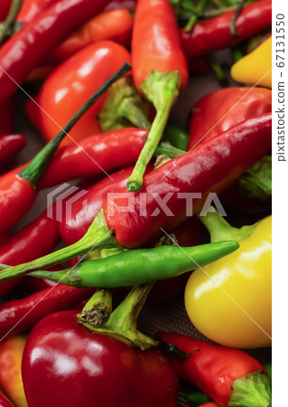 vertical chili pepper bright vegetable pattern red vertical chili pepper bright vegetable pattern red 67131550