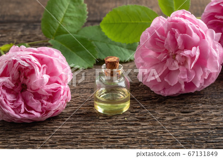 A bottle of rose essential oil with rose de mai 67131849