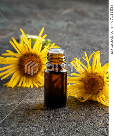A dark bottle of elecampane essential oil with 67131852