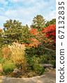 Shishido - autumn leaves 67132835