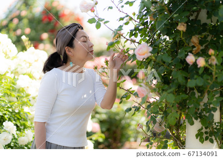 Camera girl who shoots cherry blossoms Camera girl who shoots cherry blossoms 67134091
