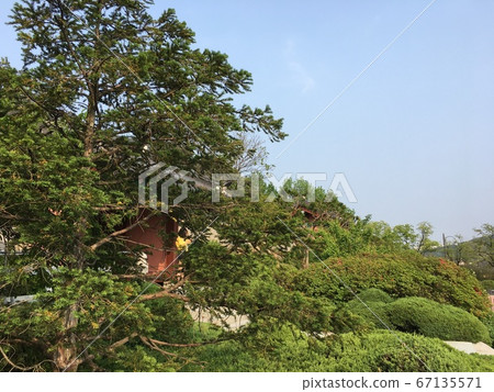 花園 花園 67135571