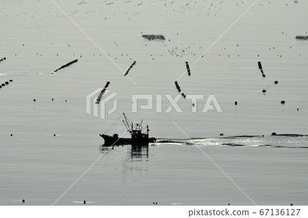 Sanriku Reconstruction National Park Michinoku Shiokaze Trail Morning in Shizugawa Bay 67136127