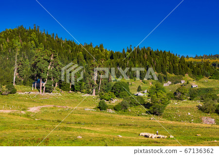 Dabadzveli landscape Borjomi Samtskhe Javakheti Georgia Europe landmark Dabadzveli landscape Borjomi Samtskhe Javakheti Georgia Europe landmark 67136362