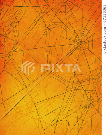 Spider web background 67136365