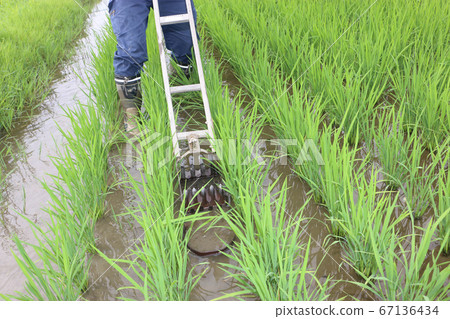 Paddy field weeder 67136434