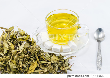 Stevia Stevia 67136609