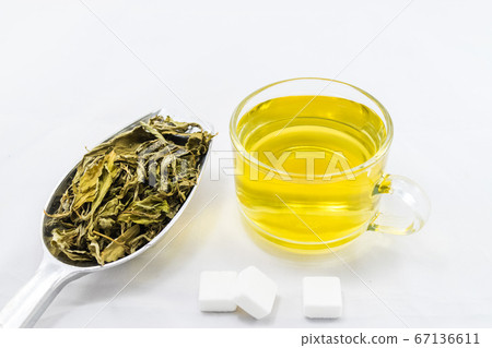 Stevia Stevia 67136611