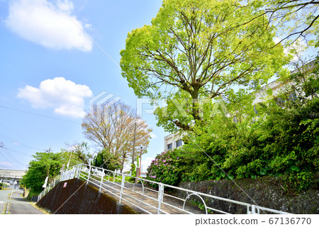福岡縣美山市高田町懷津市原美山市竹海小學966於2016年3月31日關閉 福岡縣美山市高田町懷津市原美山市竹海小學966於2016年3月31日關閉 67136770