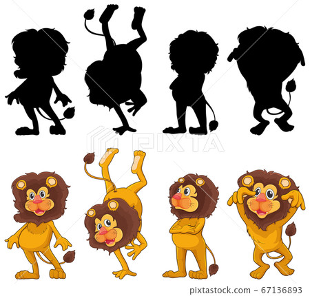 Lion with its silhouette 67136893