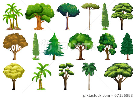 Set of variety plants and trees 67136898