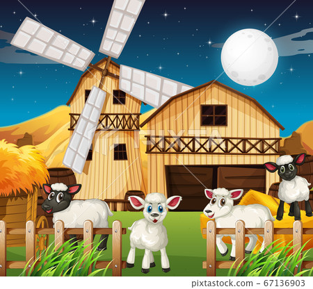 Farm scene with barn and cute sheep at night Farm scene with barn and cute sheep at night 67136903