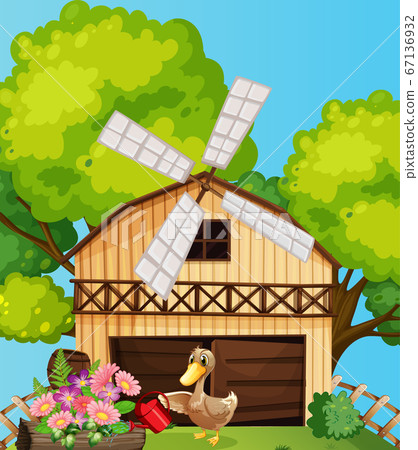 Farm scene in nature with barn and duck watering Farm scene in nature with barn and duck watering 67136932