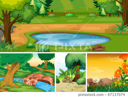 Four different nature scene of forest and swamp 67137074