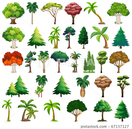 Set of variety plants and trees Set of variety plants and trees 67137127