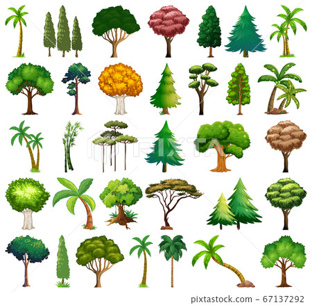 Set of variety plants and trees Set of variety plants and trees 67137292