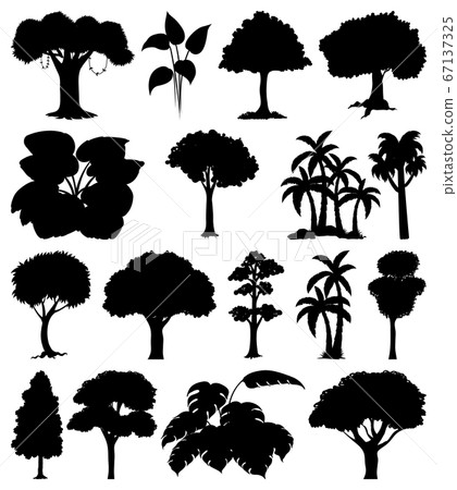 Set of plant and tree silhouette 67137325